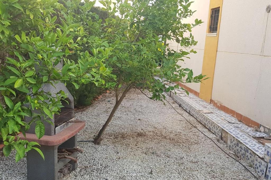 Punta Prima Bungalow Jardin Privado Torrevieja Extérieur photo