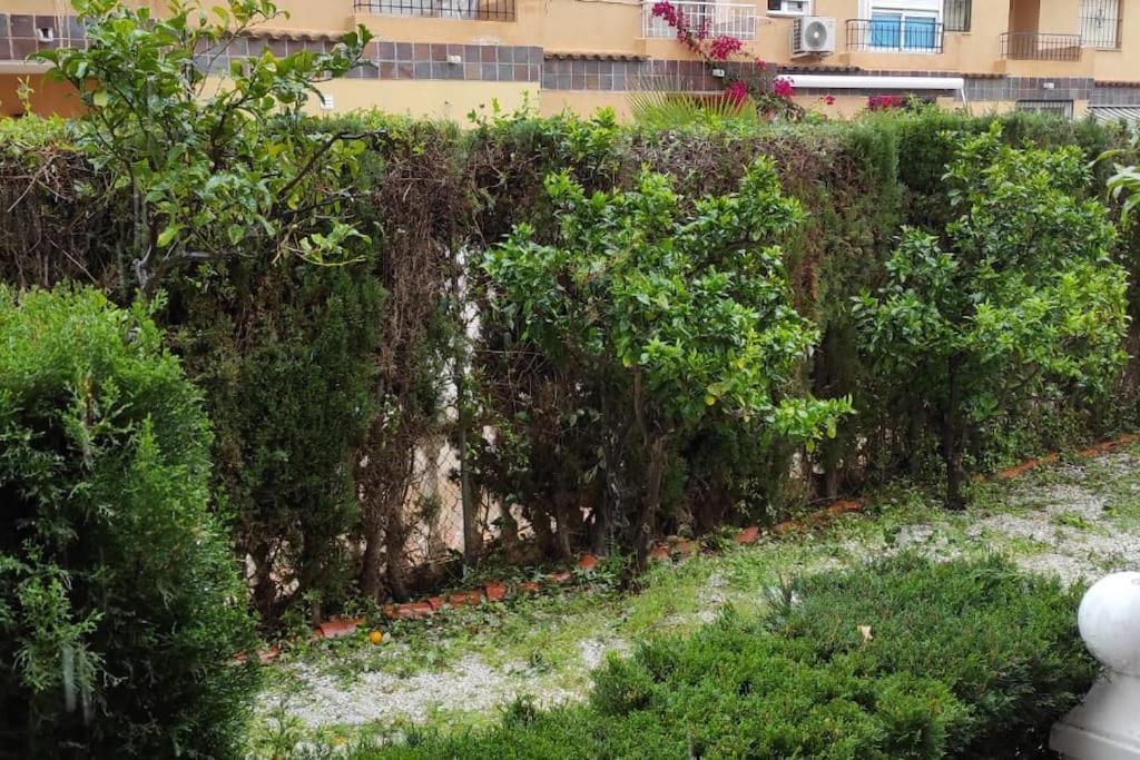 Punta Prima Bungalow Jardin Privado Torrevieja Extérieur photo