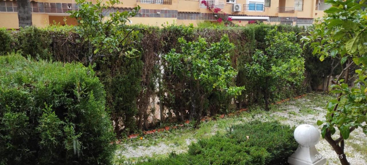 Punta Prima Bungalow Jardin Privado Torrevieja Extérieur photo
